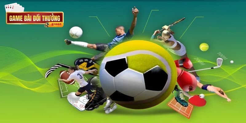 Thể thao luôn là sân chơi được rất nhiều người yêu thích